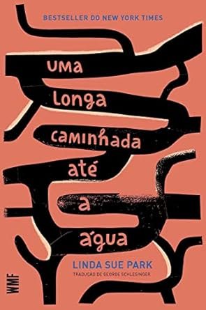 Capa do livro Uma longa caminhada até a água