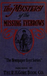 Capa do livro The mystery of the missing eyebrows
